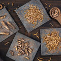 Alimentation •
Les insectes progressent dans nos assiettes